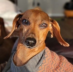 Meet your Posher, Kim